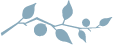 Ornamental Branch