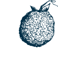 Osage Orange
